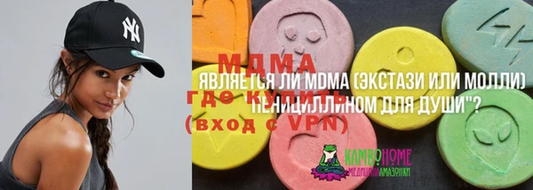мдпв Арсеньев