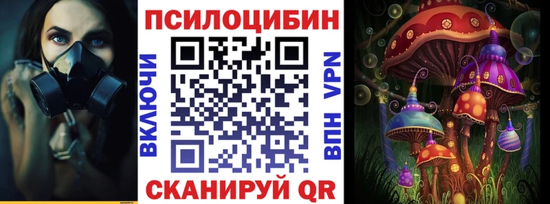 Купить  Фурманов  Галлюциногенные грибы Psilocybine cubensis 